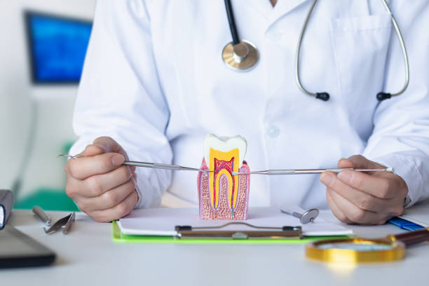 Best Emergency Treatment for Toothache in Danville, KY